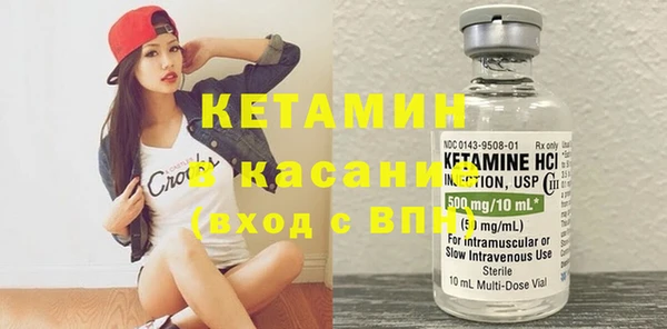 прущие грибы Каменногорск