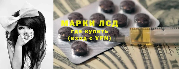 прущие грибы Каменногорск