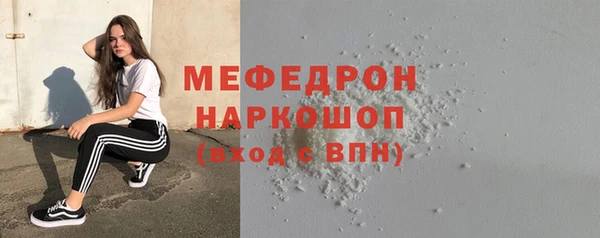 прущие грибы Каменногорск