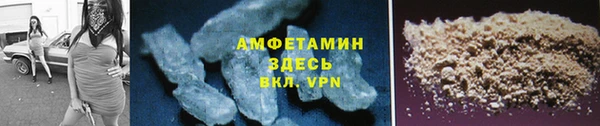 прущие грибы Каменногорск