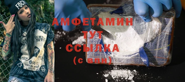 прущие грибы Каменногорск