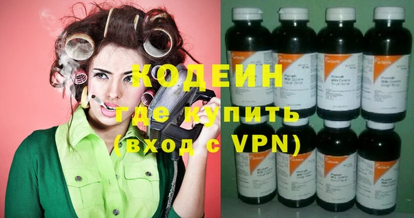прущие грибы Каменногорск