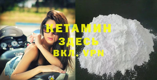прущие грибы Каменногорск