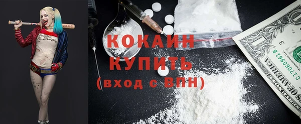 прущие грибы Каменногорск