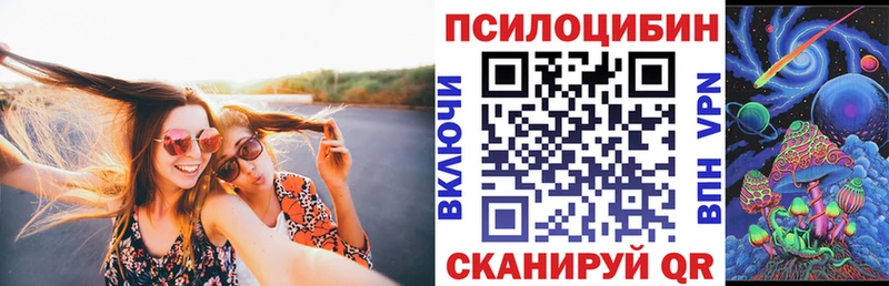 Псилоцибиновые грибы GOLDEN TEACHER  Хабаровск 