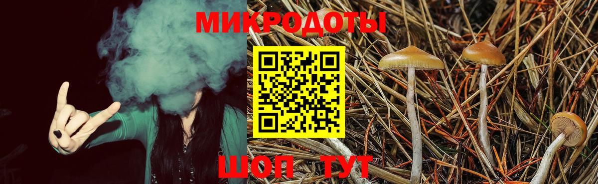 Псилоцибиновые грибы Cubensis  цена наркотик  Россия  Вход с VPN 